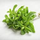 Menthe (en botte) - origine IDF