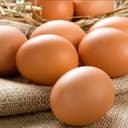 Oeufs (les chtites poules)