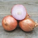 Oignons bio - Oignons rosés