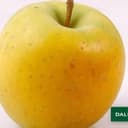 Pommes variété Delisdor - En VRAC