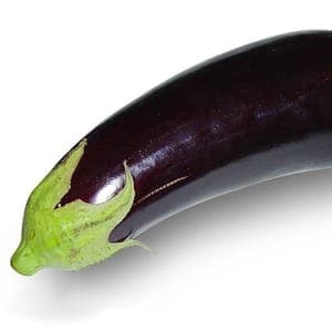 Aubergine BIO