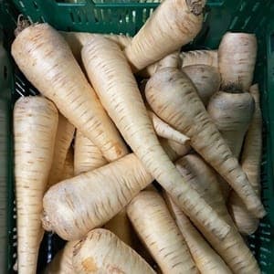 Panais