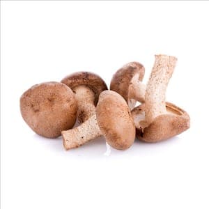 Champignons Bio - Shiitakés