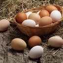 Oeuf Taille M/L Frais bio (Cagette Bio) - pièce