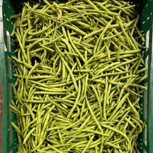 Haricots verts (frais)
