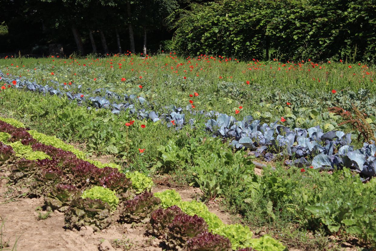Bannière de ASSOCIATION VRAC RENNES
