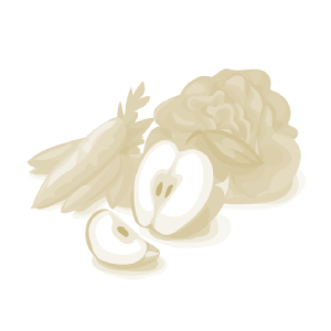 La Renarde Grand Panier - TARIF BLEU