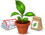 Plants et autres Plants et autres #2